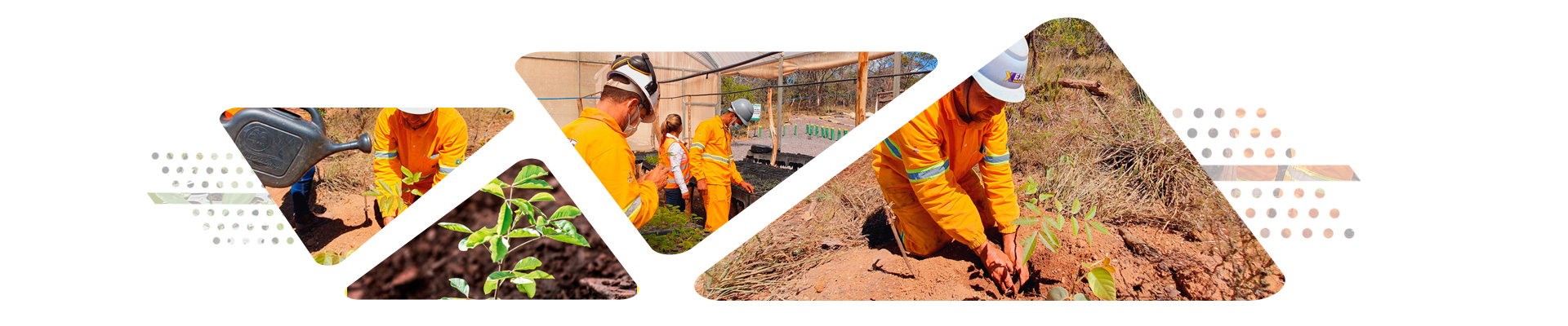 Responsabilidade Ambiental